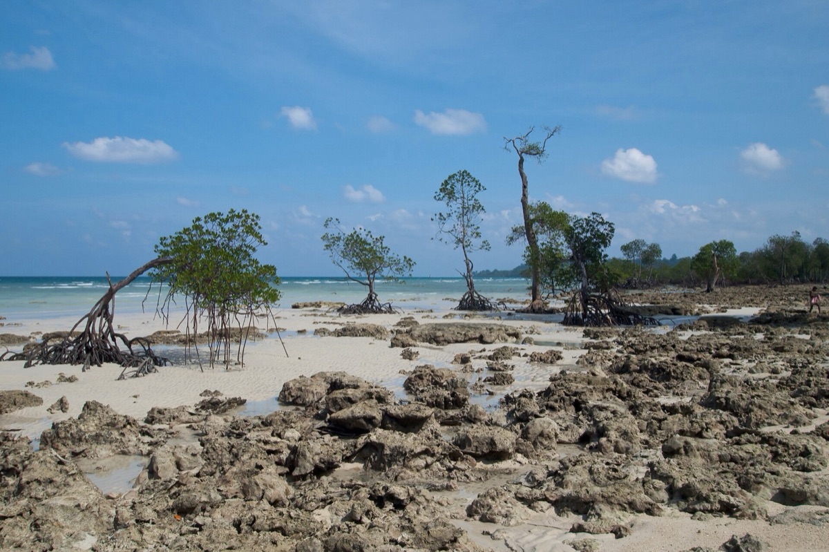 Rocky shore on Shaheed Island
